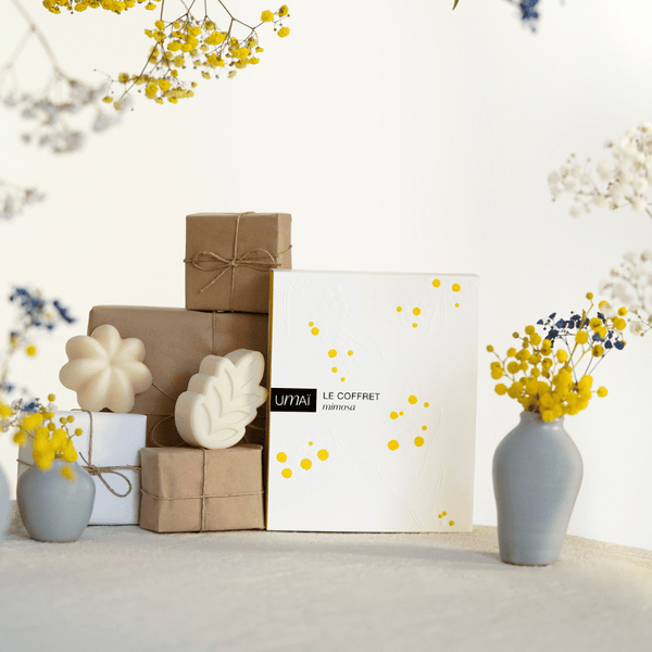 Le Coffret Mimosa de Umaï 185g | NUOO