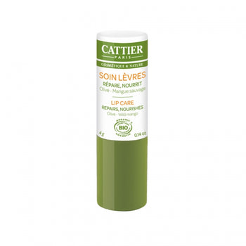 Cattier - Baumes à lèvres - Soin des lèvres stick - Nuoo