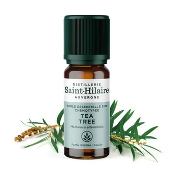 Distillerie Sint-Hilaire - Huile Essentielle de Tea Tree - Aromathérapie