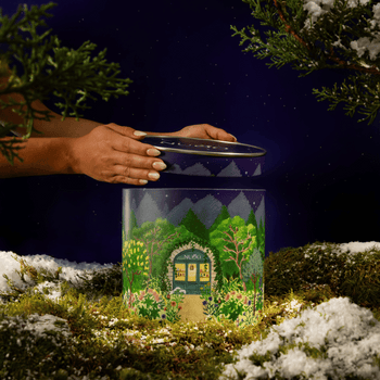 Boîte de rangement illustrée